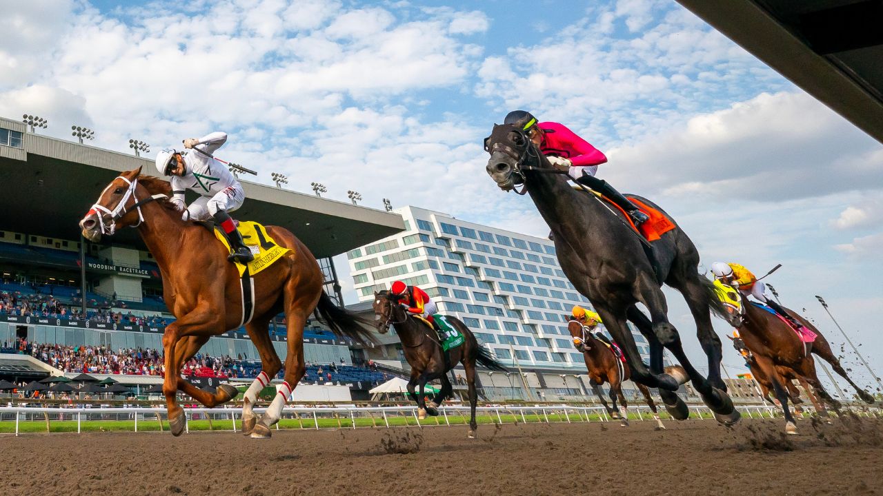 Canada Turf Champions Day on Sportsnet