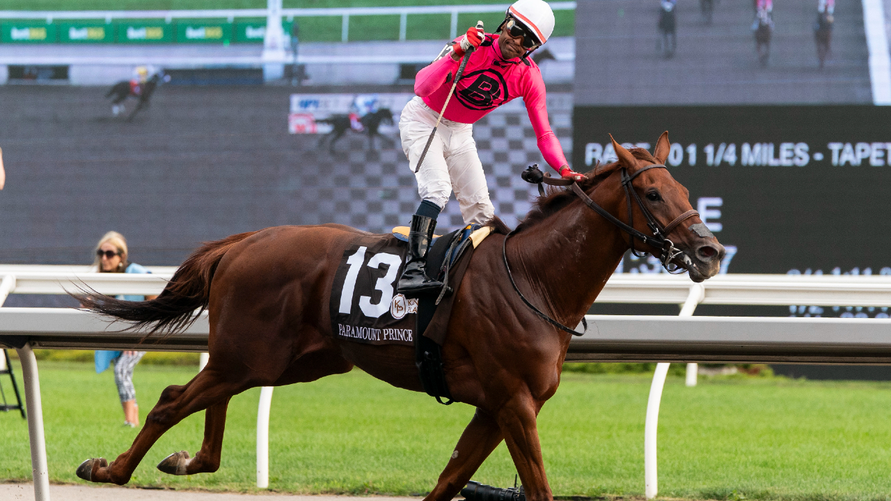 Greenwood Stakes on Sportsnet