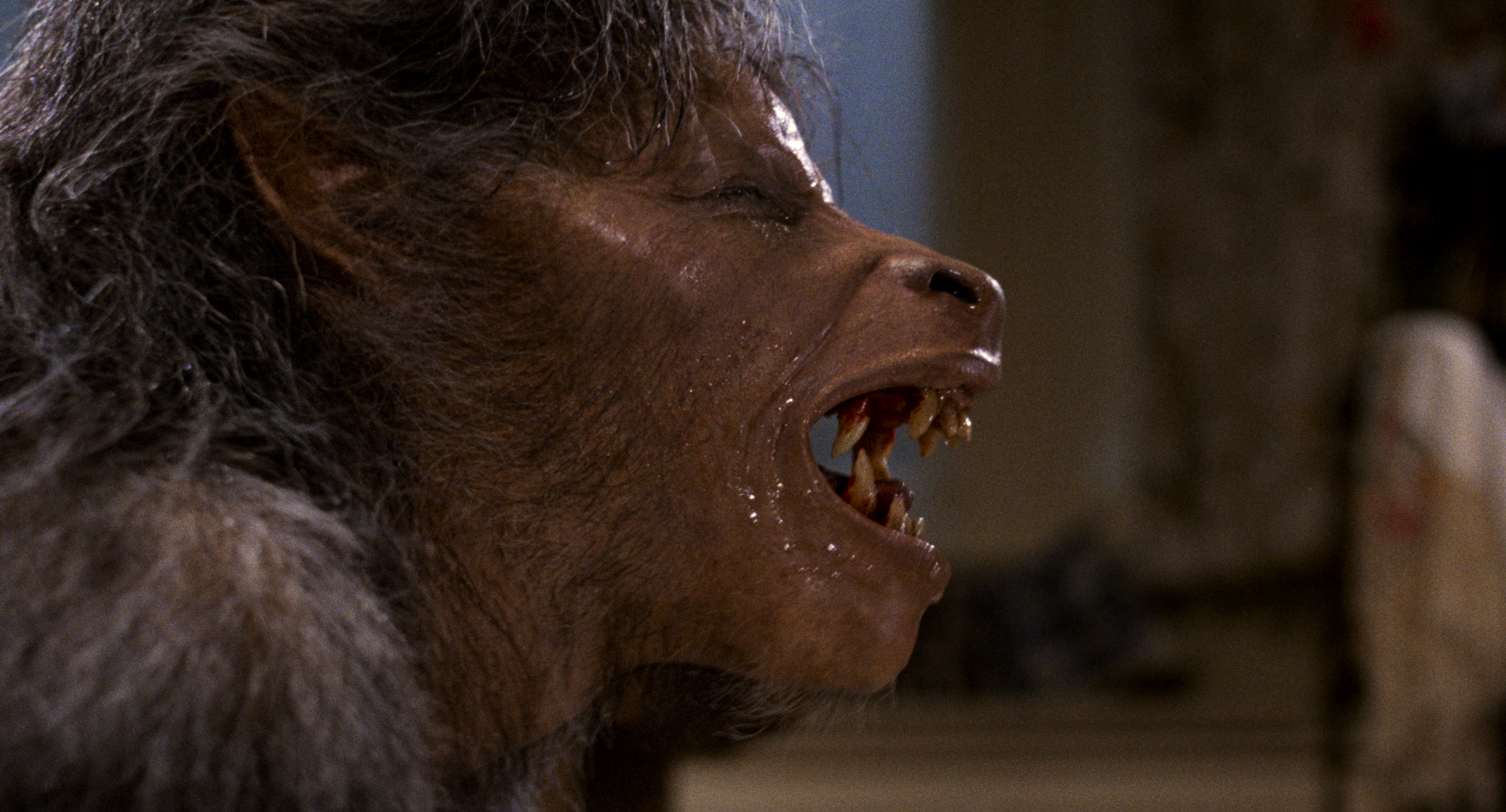 The Best Werewolf Transformations in Movies Ranked